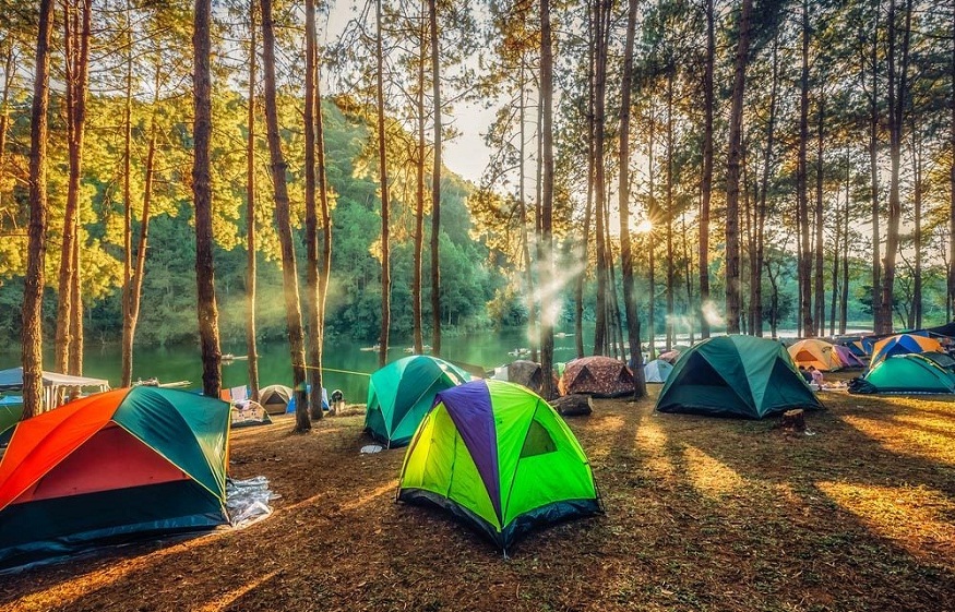 Top  Best Campsites in France in 2024